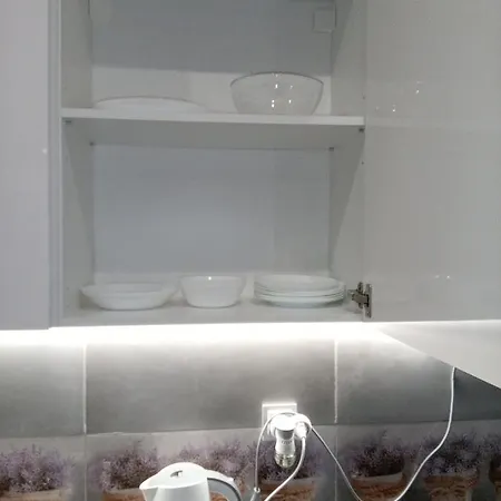 Roza- Lotnisko Apartment *