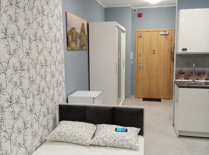 Roza- Lotnisko Apartment *