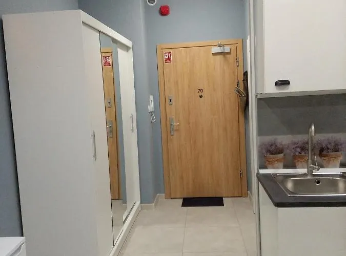 Roza- Lotnisko 公寓